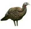 AVIAN X TURKEY DECOY LCD BREEDER HEN Model: AVX-AVX8008