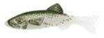 Renosky Keystone Jig Minnow 1/16Oz .75" 1 Rig Rainbow Trou Model: KJM116-RT