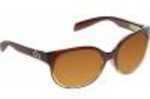 Native Polarized Eyewear Pressley Stout Fade/ Brown