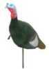 Feather Flex Flocked Jake Turkey Sf0