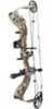 Bowtech Diamond Carbon Cure RH 60# RAK Bow Package Infinity