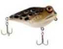 REB Prince Frog 23/8" 5/16 Cricket