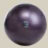 Gofit 1200Lb Professional Ball GF-55Pro