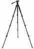 Celestron Tripod - Regal Premium - Black