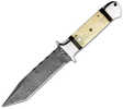 BucknBear Bone Fighter Fixed 5.3 in Blade Bone-Horn Handle