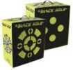 Black Hole Archery Target 22X20X11 BH22