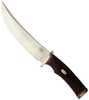 Fallkniven V1 Fixed Blade 6.7 in Satin Cocobolo Handle