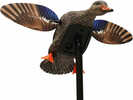 Mojo HW2471 Mini Mallard Hen Motion Decoy