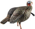 AVIAN X TURKEY DECOY HDR JAKE Model: AVX8105