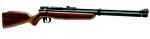 Benjamin .22 Cal. Pellets Dual Fuel Air Rifle With Black Finish & Hardwood Stock Md: BP9M22GP