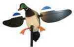 MOJO HW2108 Mallard Hen New 6V Decoy