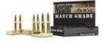 300 AAC Blackout 220 Grain Hollow Point 20 Rounds Nosler Ammunition