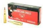 224 Valkyrie 75 Grain Total Metal Jacket 20 Rounds Federal Ammunition