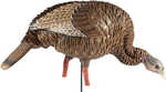 AVIAN X TURKEY DECOY HDR FEEDING HEN Model: AVX-AVX8107