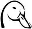 Outdoor DECALS Mallard Head 6"X6" White