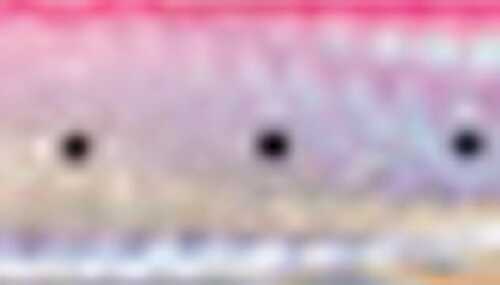 Williamson Benthos Speed Jig 7Oz 7-3/4In W/Hook Pink Md#: BSJ200P