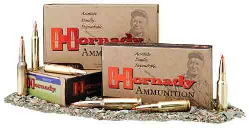 303 British 174 Grain Boat Tail Hollow Point 20 Rounds Hornady Ammunition