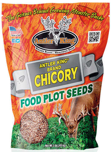 Antler King Chicory 1# Bag Perennial 1/4 Acre